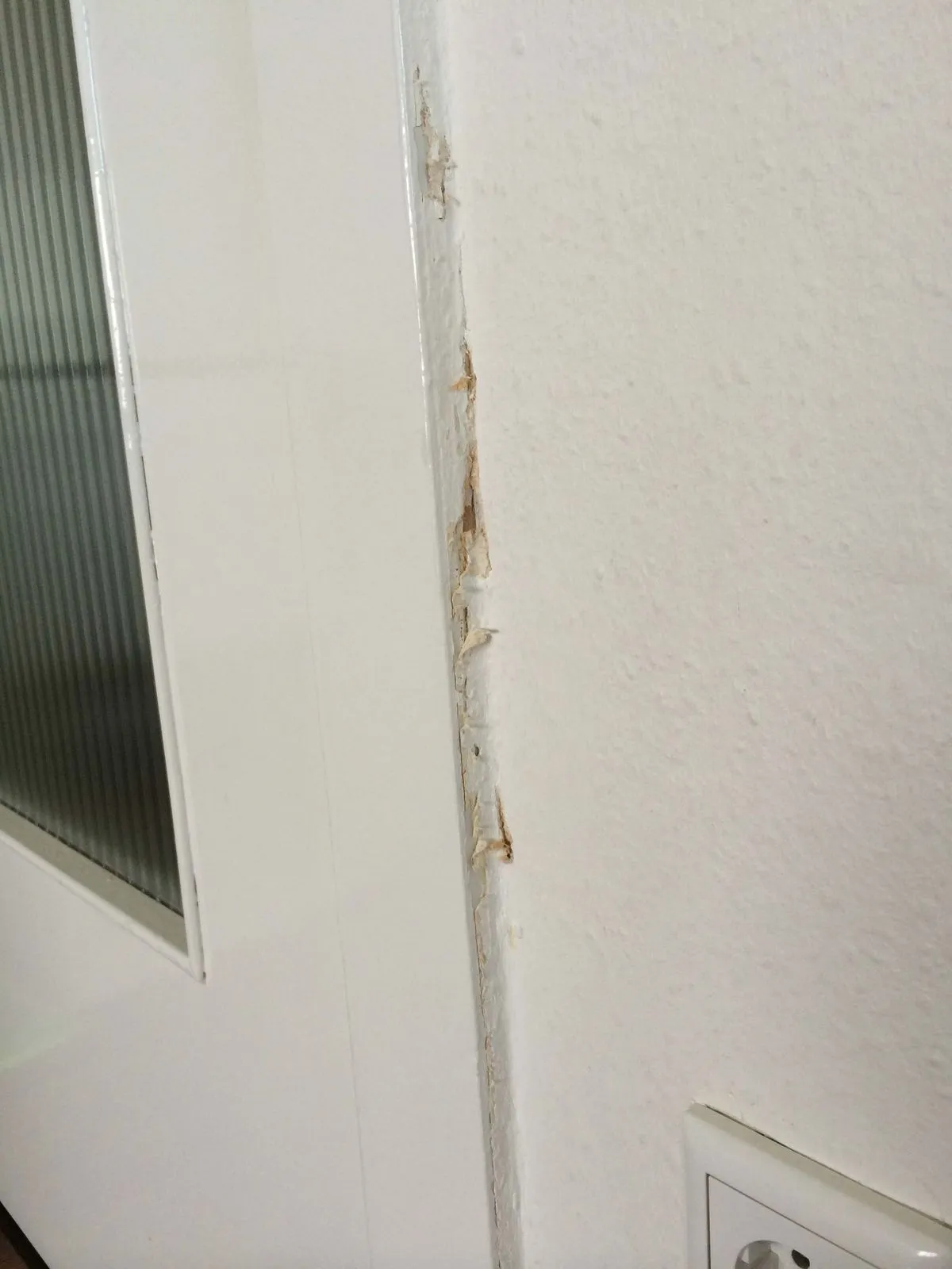Kratzer durch Katzen in der Wohnung